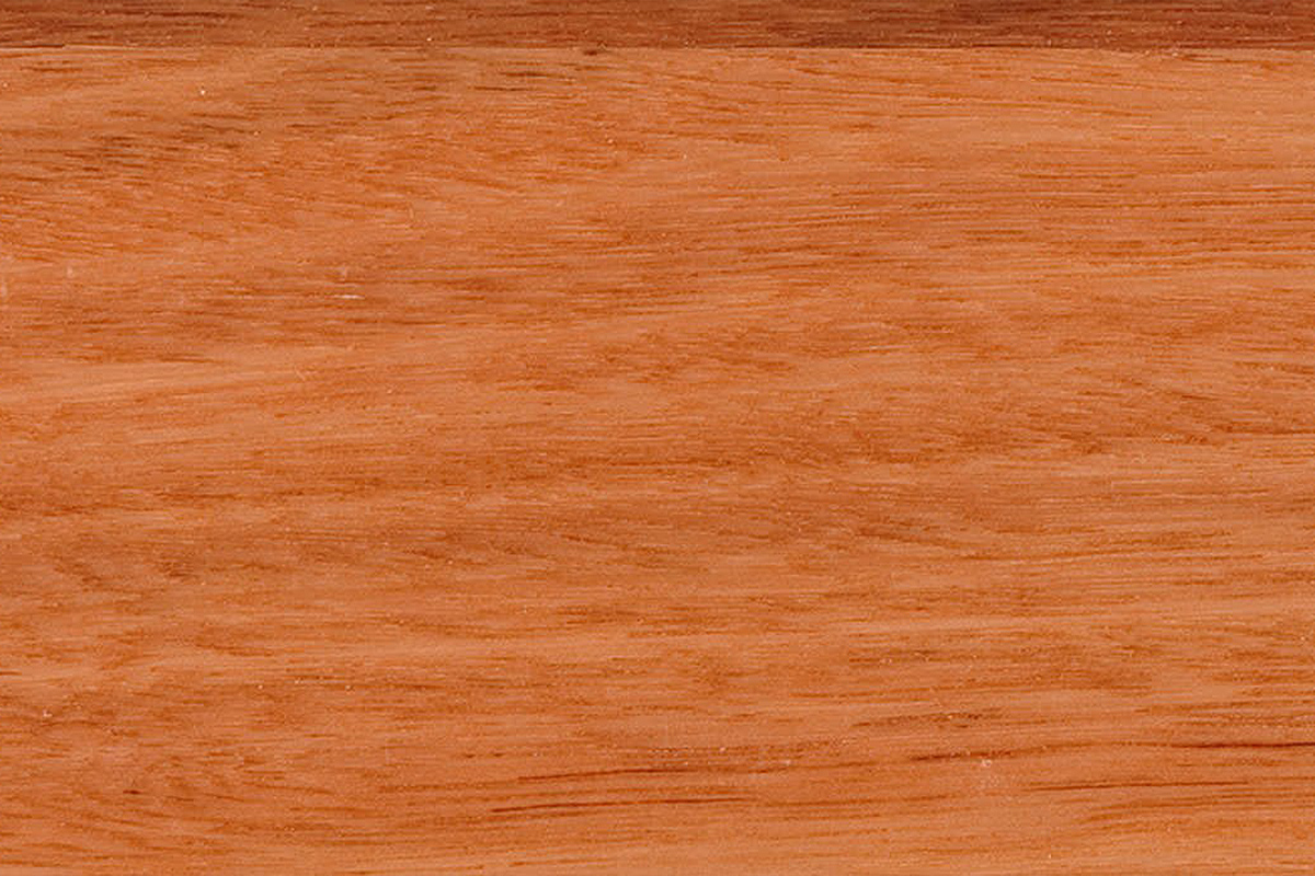 Close up image of Flooded Gum timber