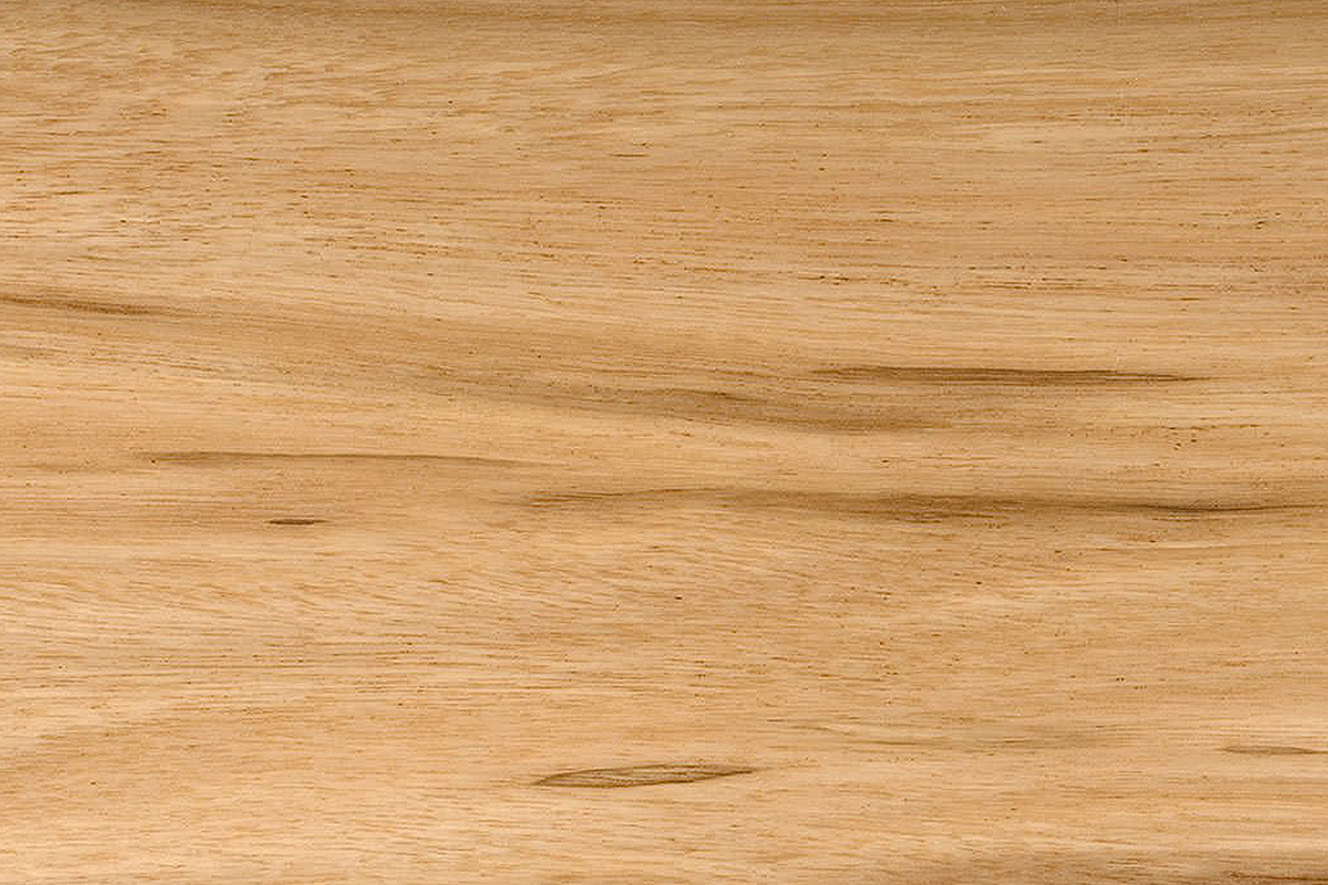 Close up of Tallowwood