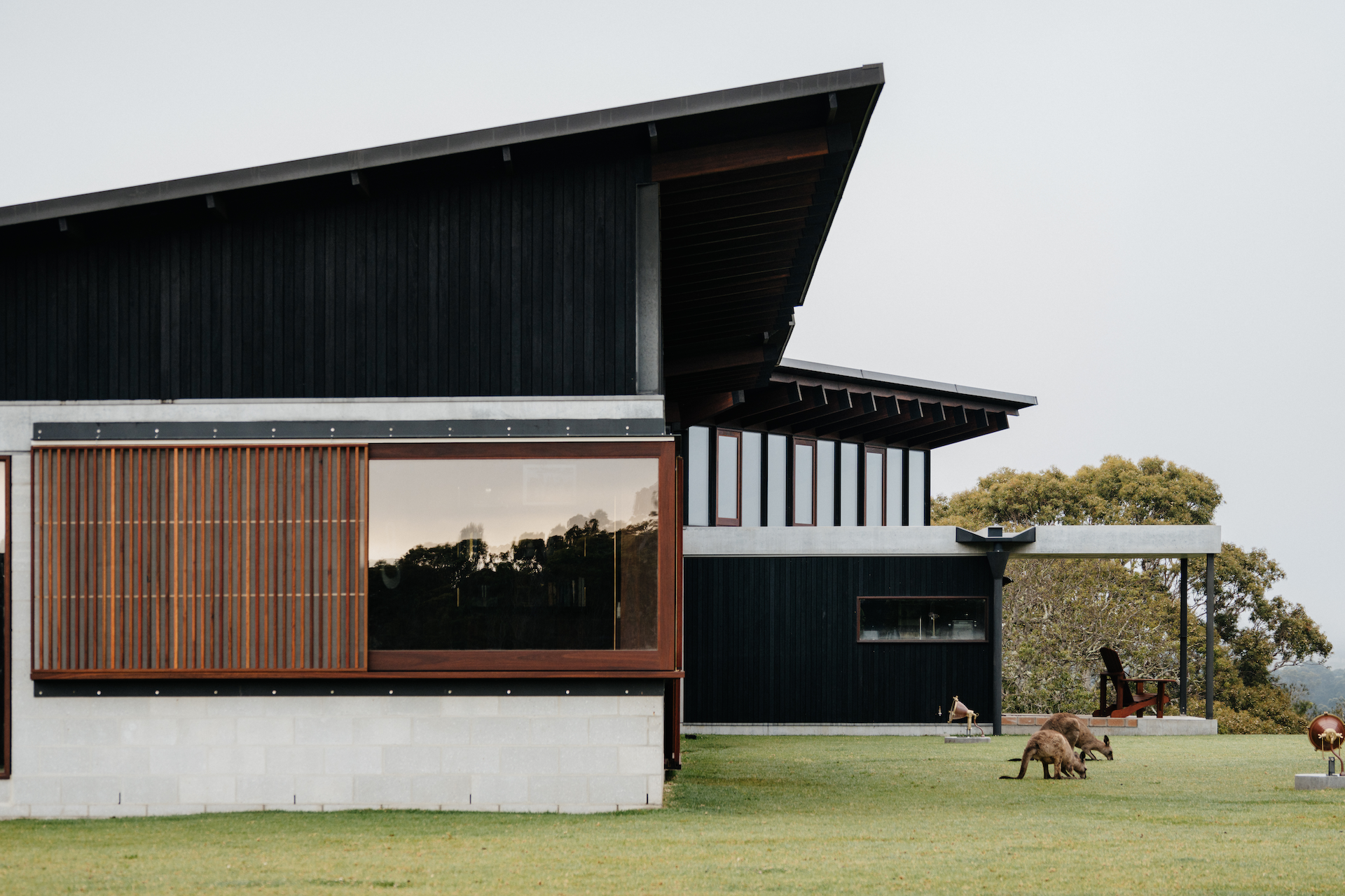 Australian hardwood windows and timber screen with kangaroos grazing in the foreground.